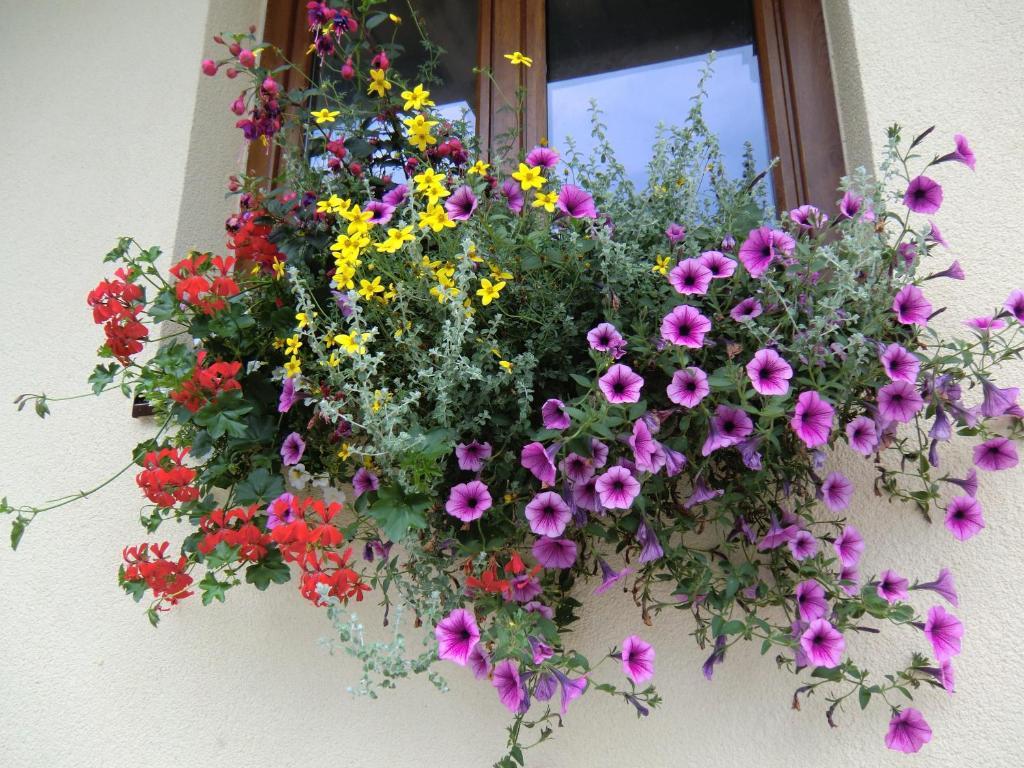 Haus Rye B&B Obertraun Quarto foto